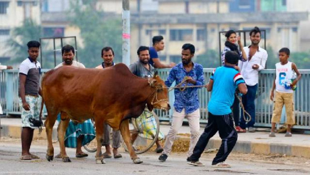 ইসলামে এই কোরবানির ইতিহাস বেশ প্রাচীন