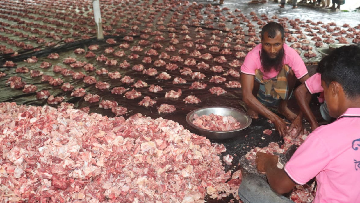 কোরবানির মাংসের ভাগ