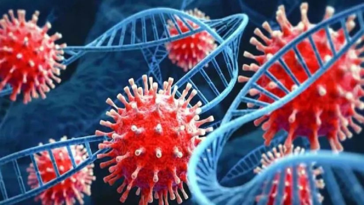 করোনা ভাইরাস