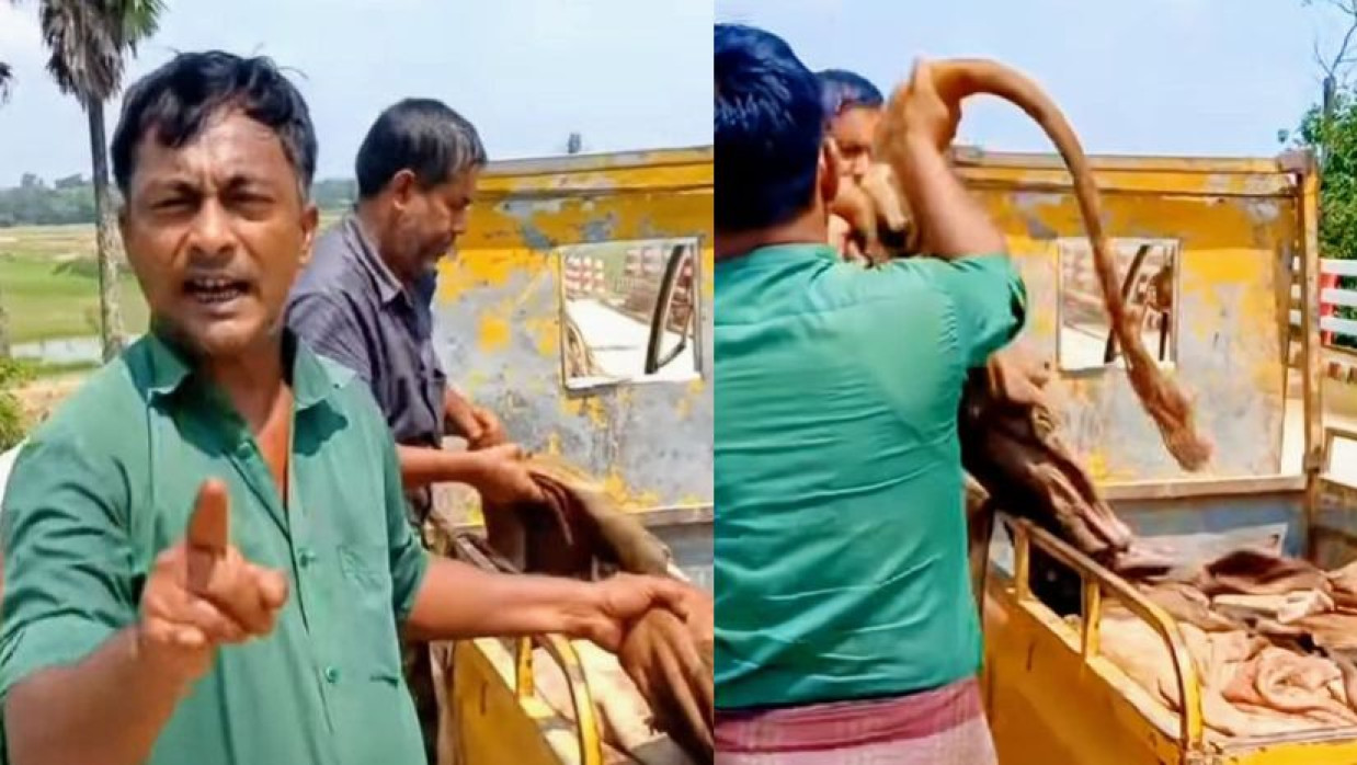 ন্যায্যমূল্য না পেয়ে নদীতে চামড়া ফেলে দিচ্ছেন ব্যবসায়ী