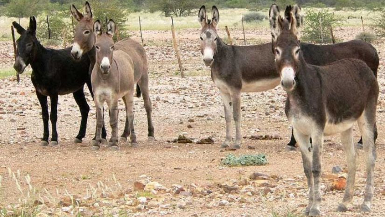 প্রতীকী ছবি