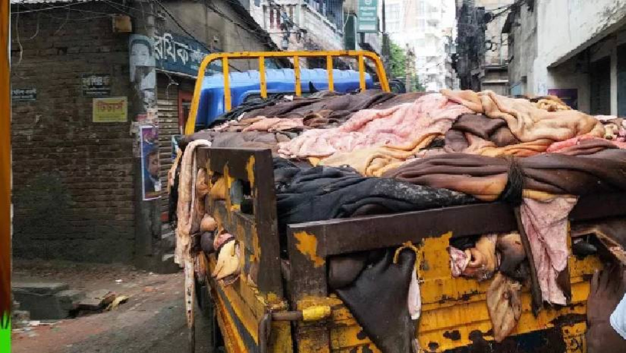 কোরবানির পশুর চামড়া