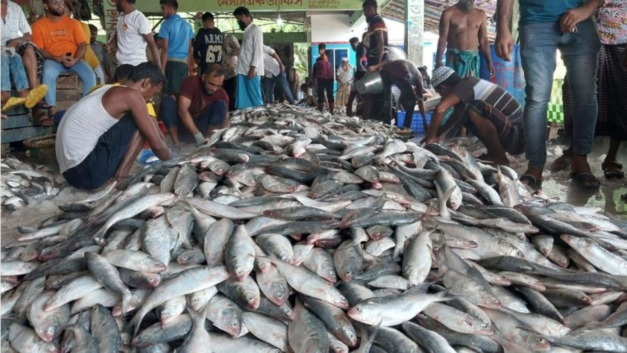 প্রতীকি ছবি