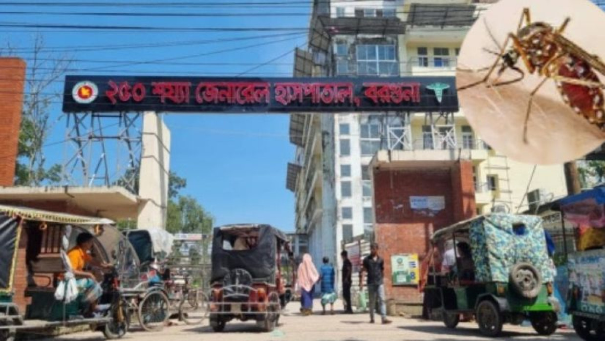 বরগুনায় ডেঙ্গুর প্রকোপ
