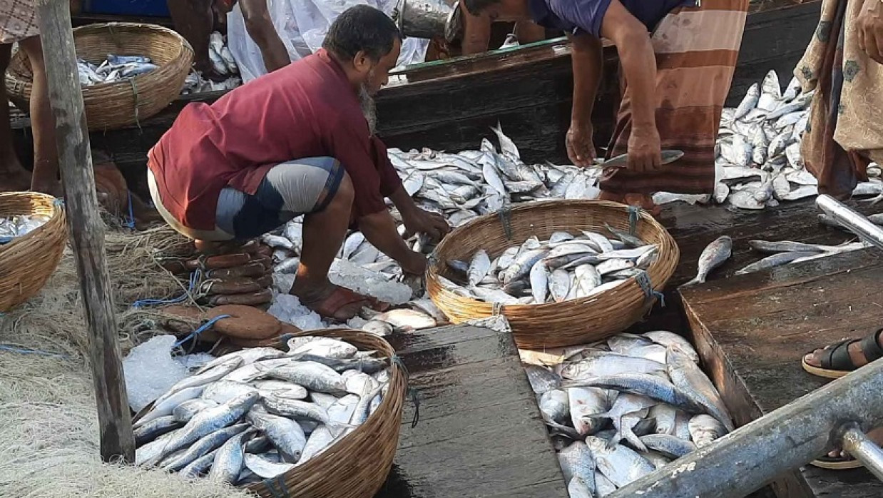বাগেরহাট শহরের কেবি বাজার মৎস্য আড়ৎ
