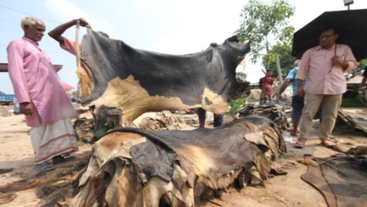 চামড়া  সংরক্ষণ