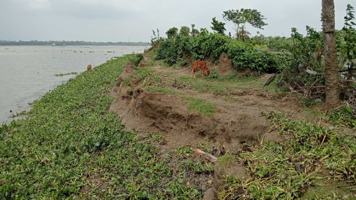 নদী তীরবর্তী অঞ্চল