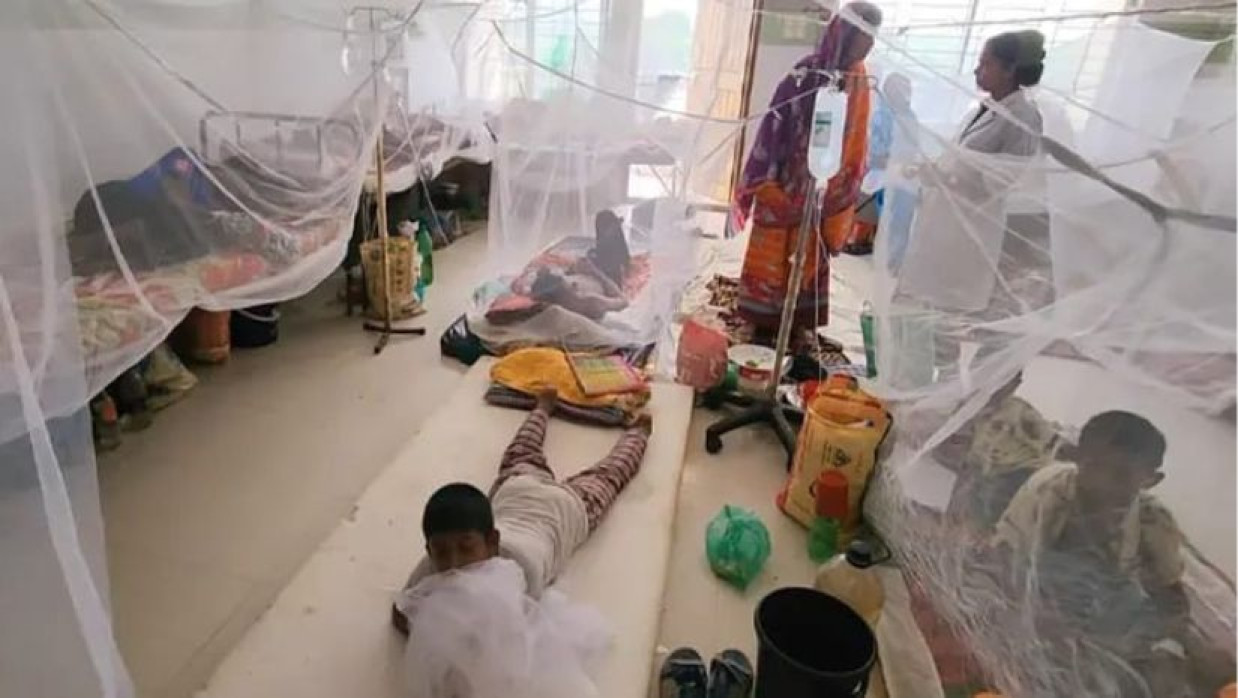 বরগুনায় বাড়ছে ডেঙ্গুর প্রকোপ