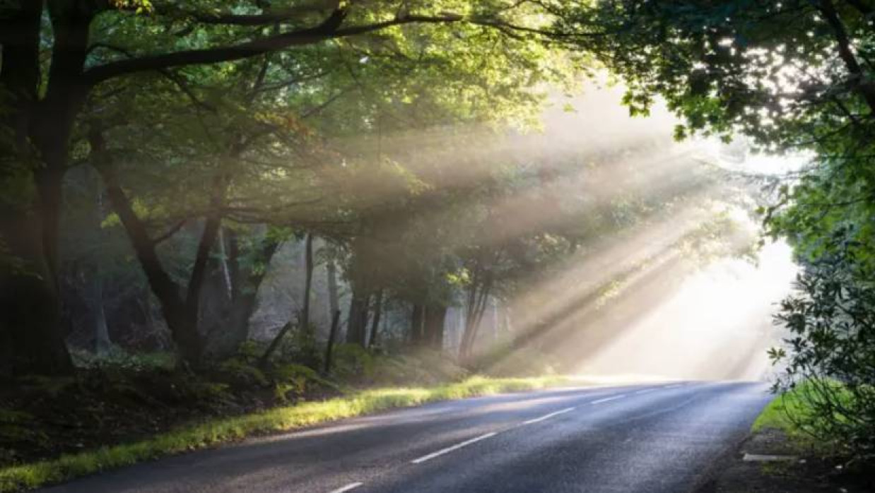 নির্দিষ্ট পরিমাণ সূর্যের আলো শরীর সুস্থ রাখার জন্য ভালো