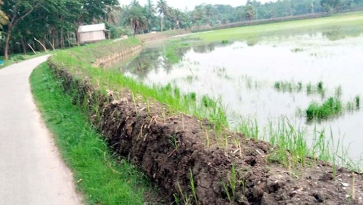 প্রায় আধা কিলোমিটার সড়কের ফুটপাত দখলের অভিযোগ 