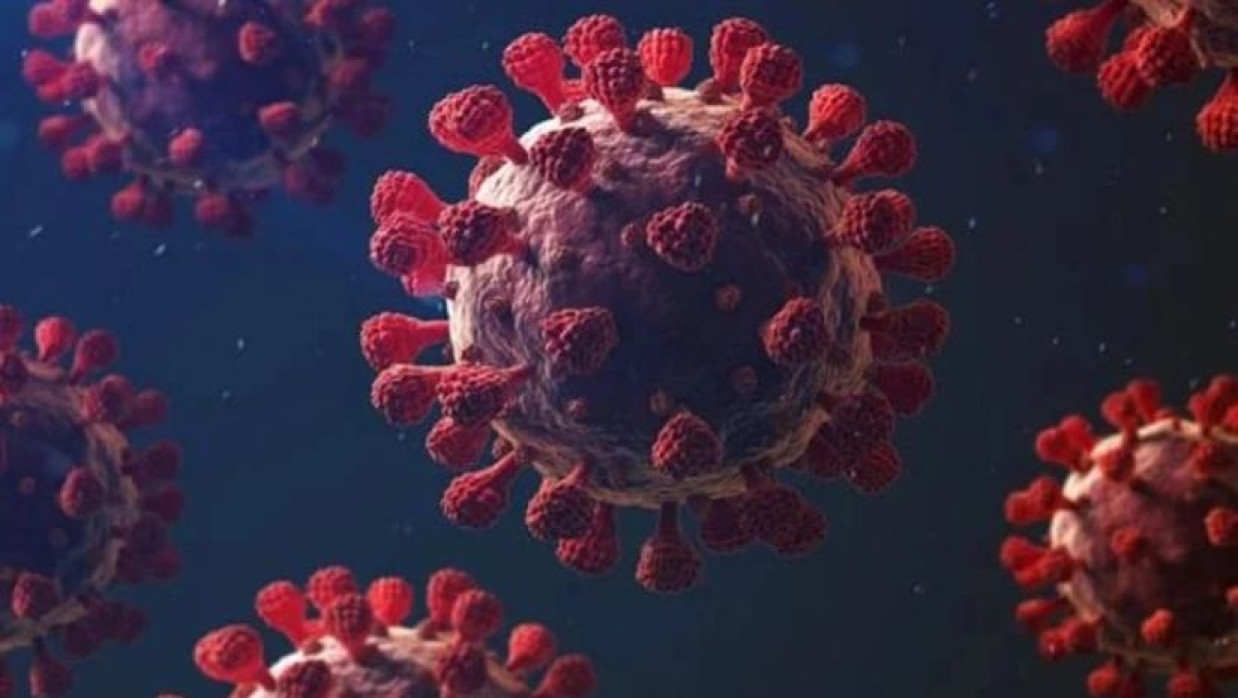 মিরসরাই করোনাভাইরাসে একজনের মৃত্যু