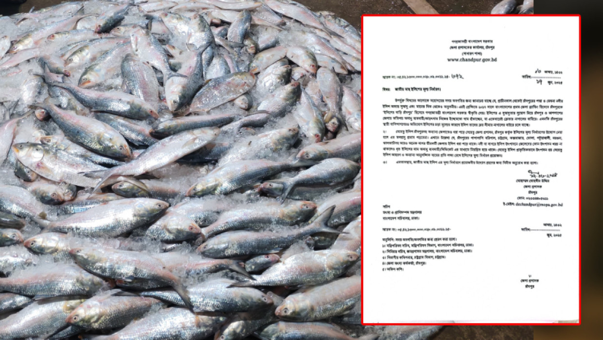 ইলিশের দাম নিয়ন্ত্রণে সচিবালয়ে জেলা প্রশাসকের চিঠি