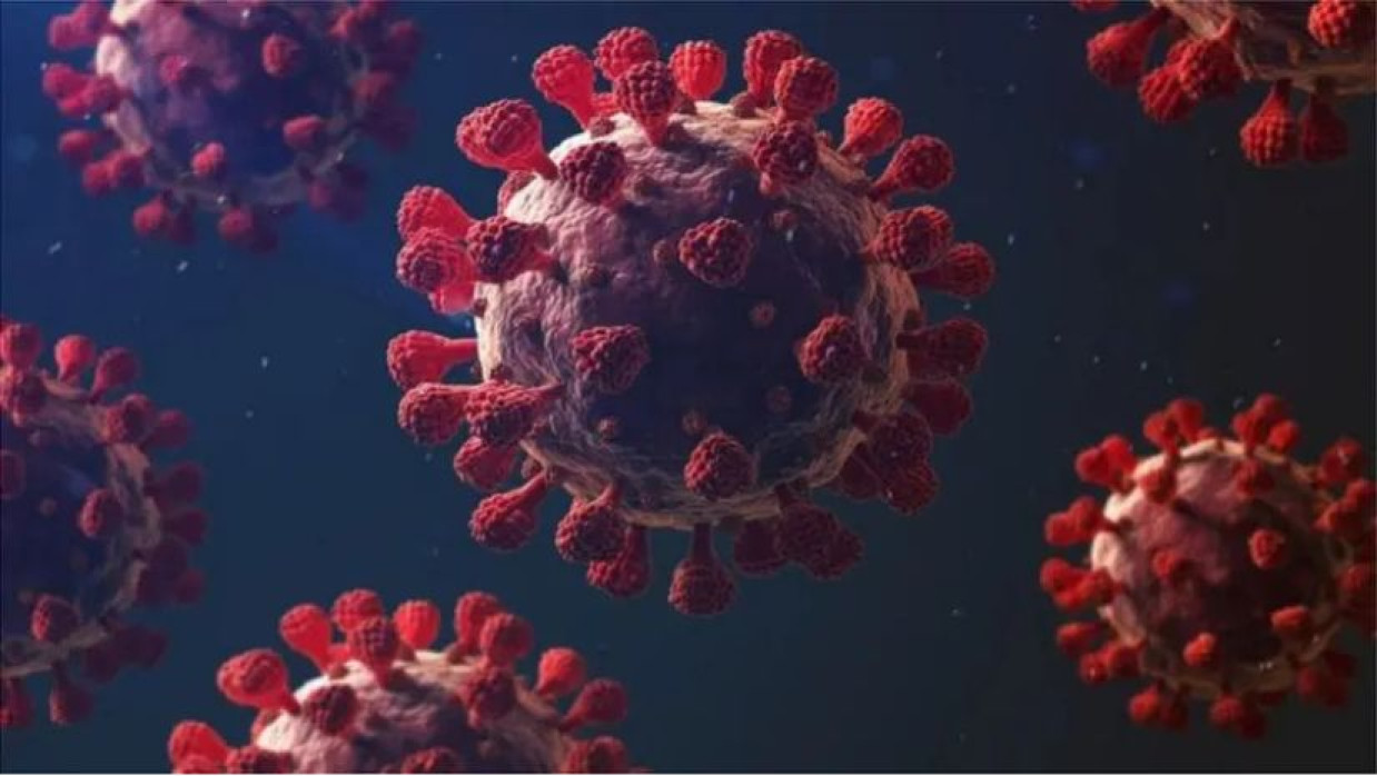 করোনাভাইরাস