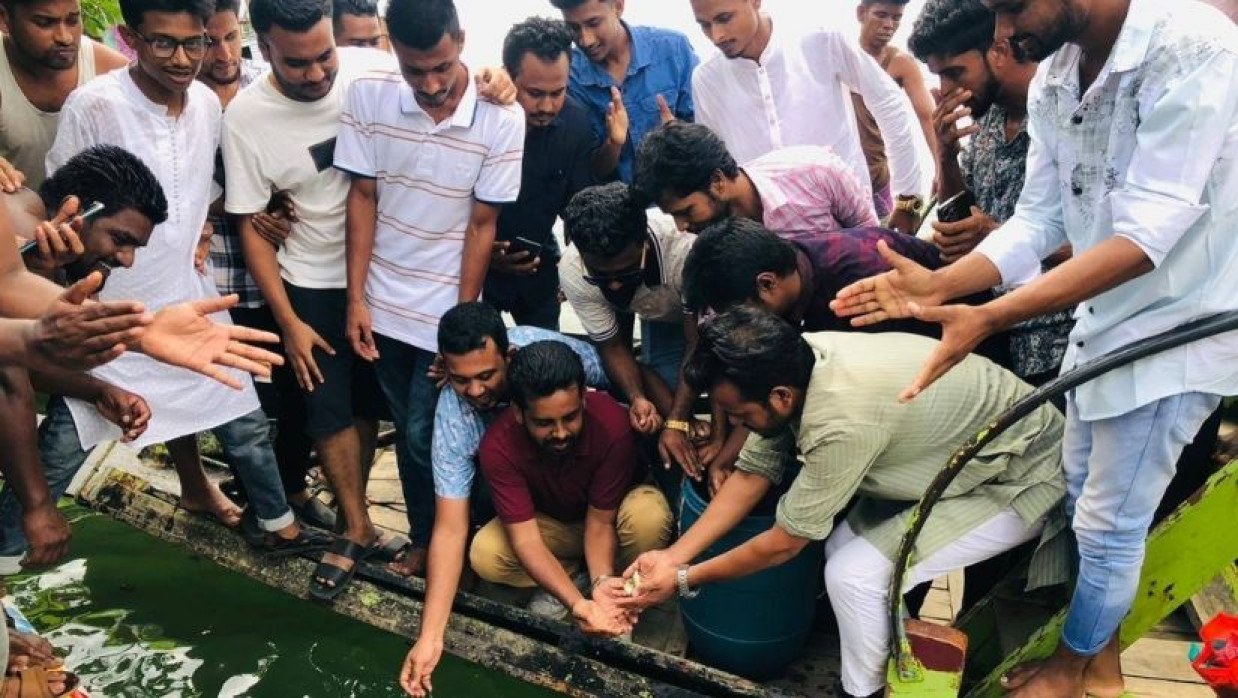 ছাত্রদল নেতার নেতৃত্বে হাওরে মাছের পোনা ছাড়ার কর্মসূচি
