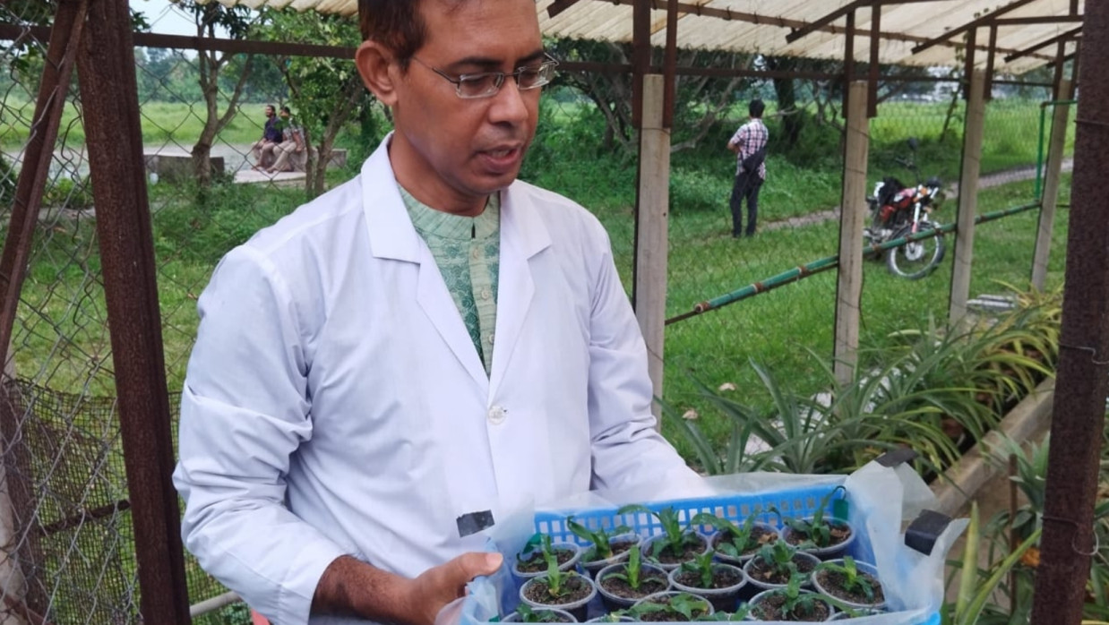 ড. মো. গিয়াসউদ্দিন আহমেদ