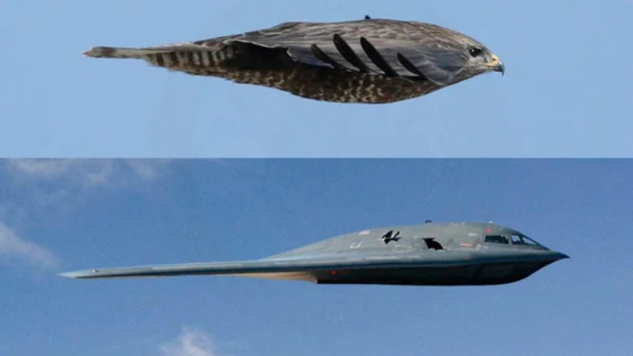 বি-টু স্পিরিট স্টিলথ বোম্বার বিমান