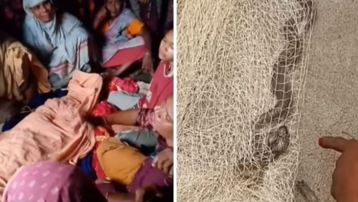 নিহত নারী ও কামড় দেওয়া সাপ