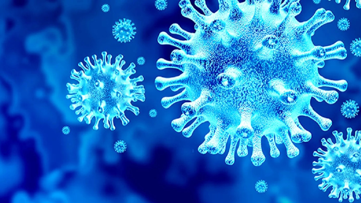 প্রতীকী ছবি