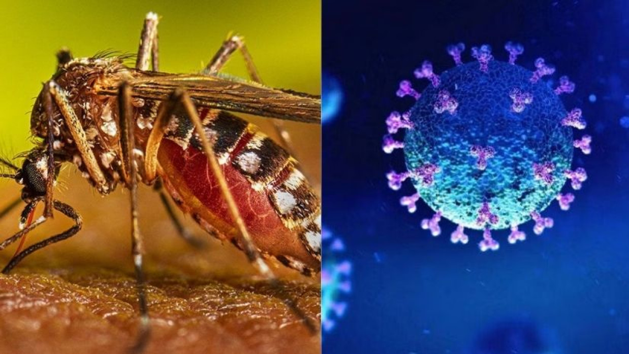 প্রতীকী ছবি