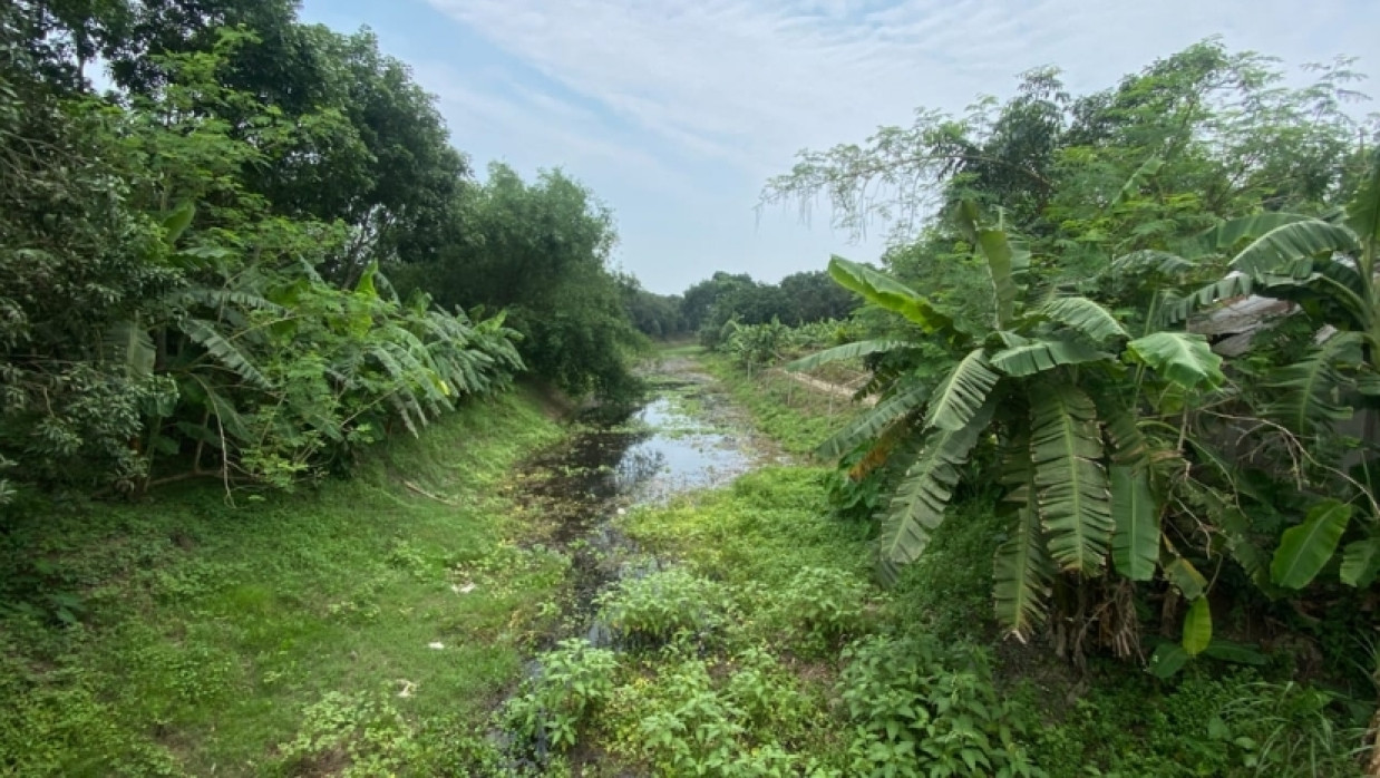 নরোদ নদী