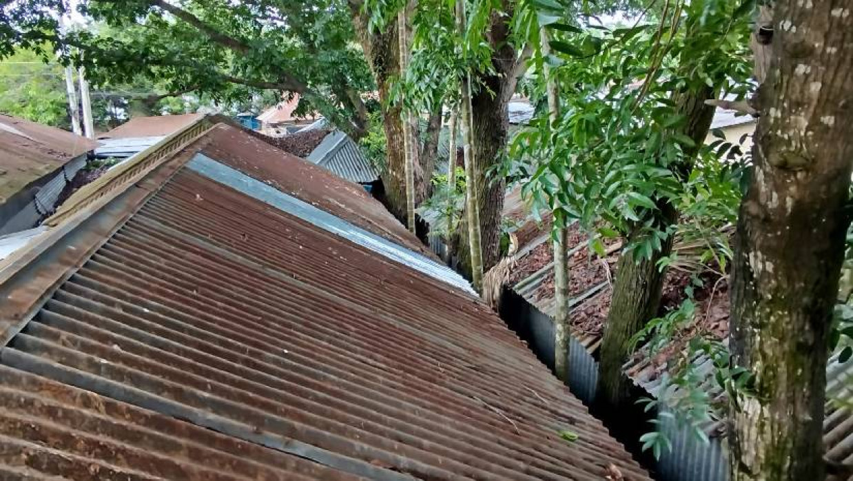 বসতবাড়ীর ওপর ঝুঁকিপূর্ণ গাছ, আতঙ্কে কয়েক পরিবার