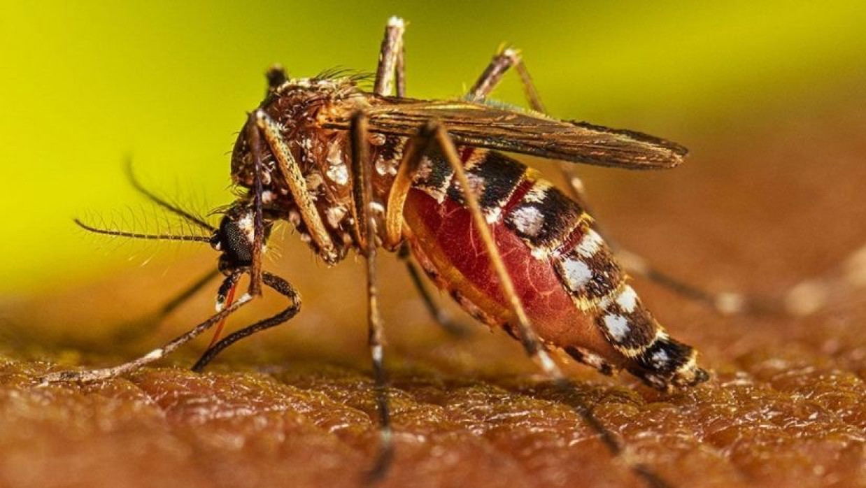 প্রতীকী ছবি