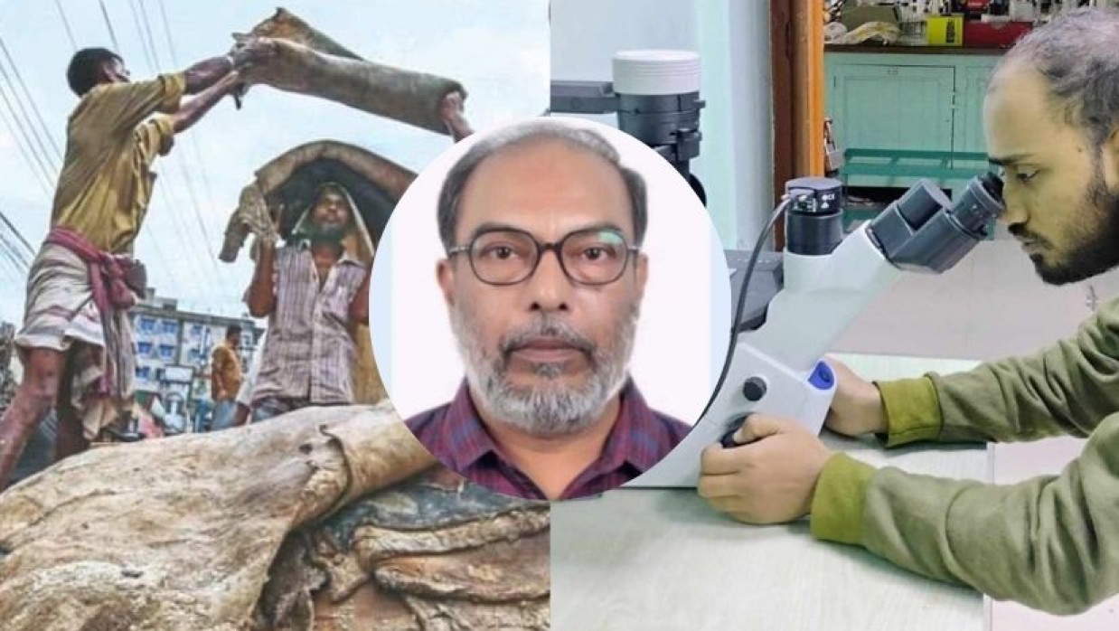 পশুর চামড়া সংরক্ষণে রাবি অধ্যাপকের সাফল্য