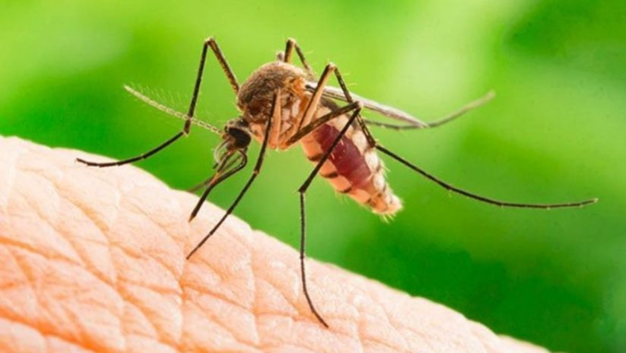 প্রতীকী ছবি