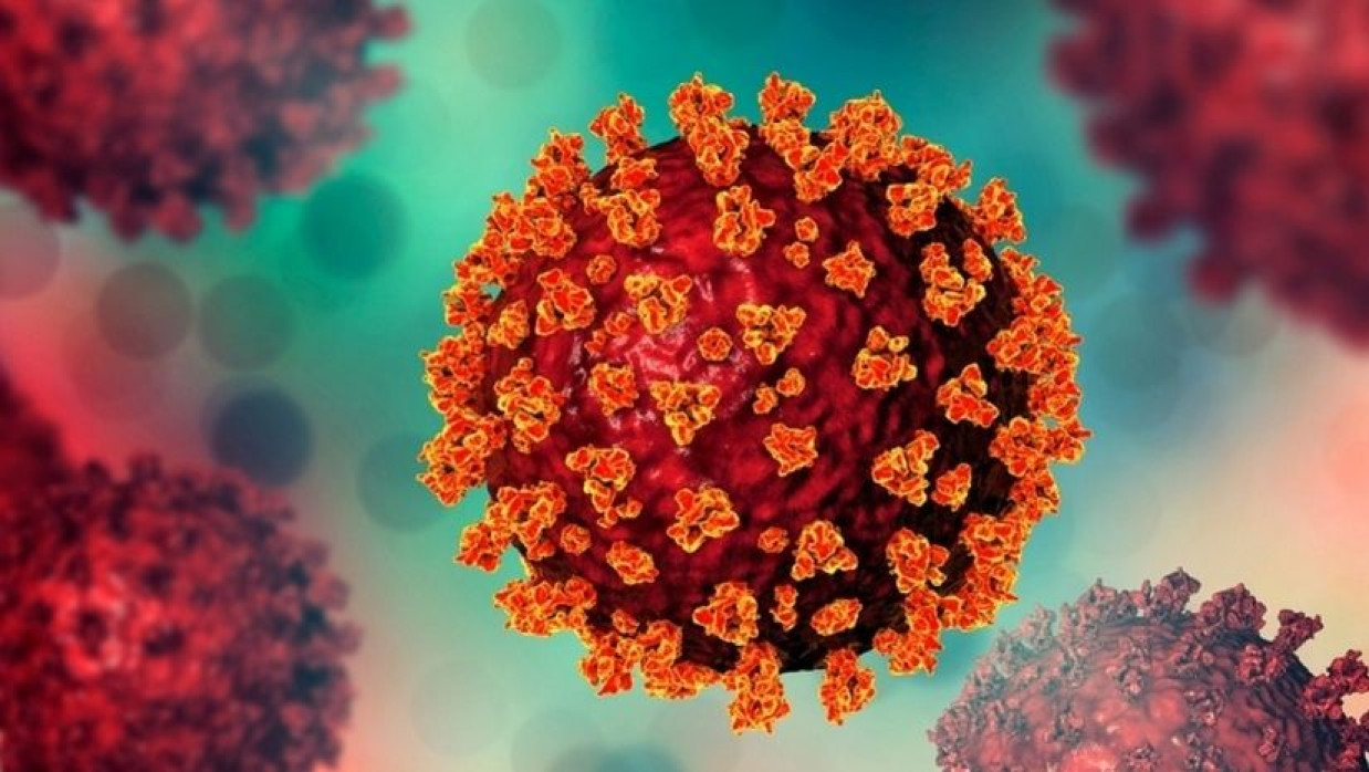 প্রতীকী ছবি