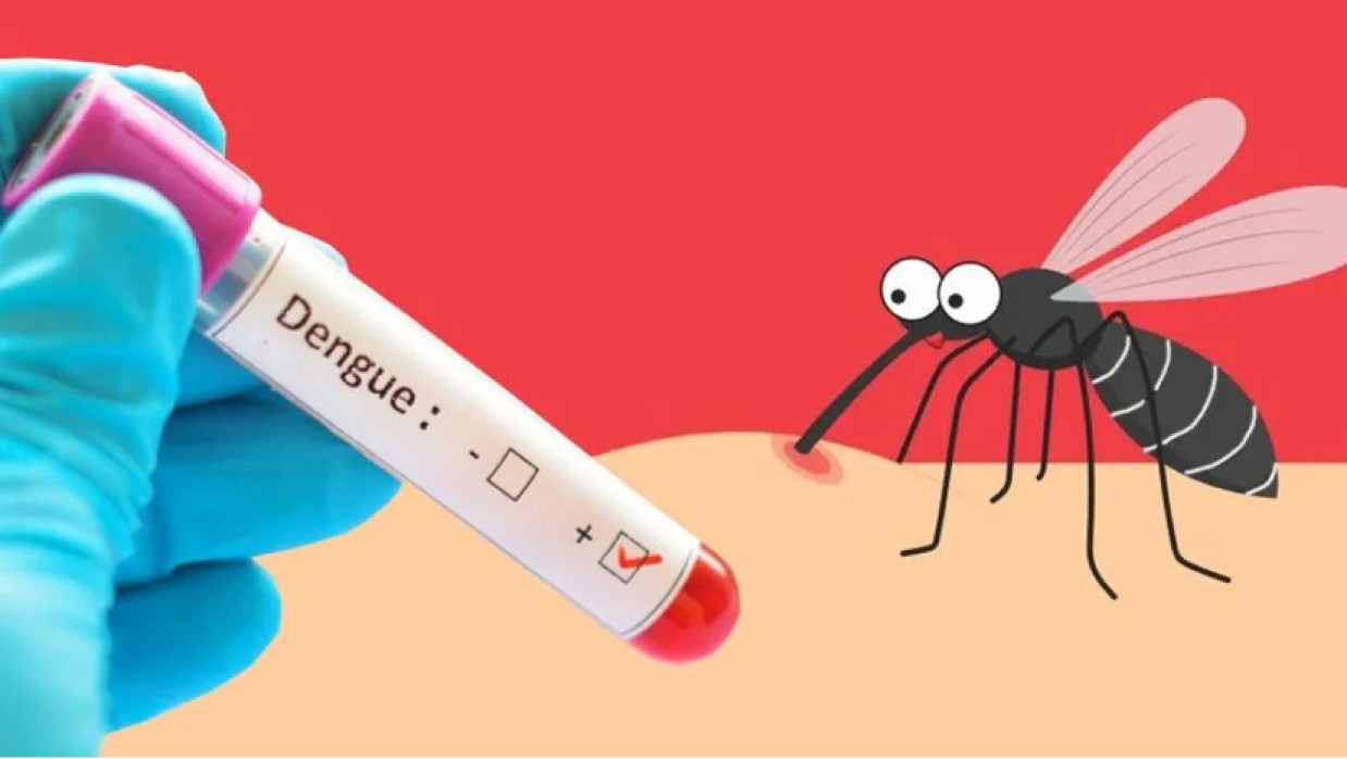 প্রতীকী ছবি 