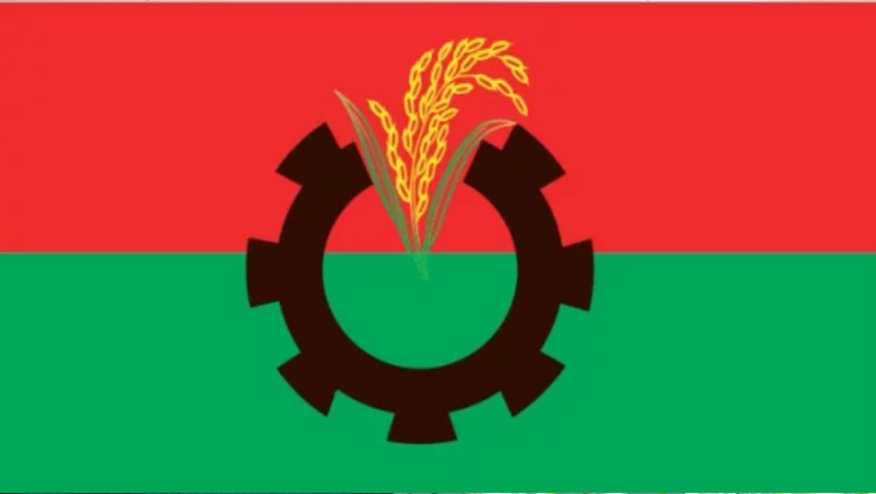 বিএনপির দলীয় পতাকা