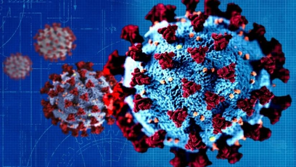 প্রতীকী ছবি