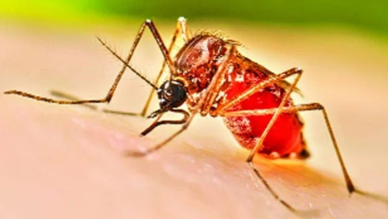 প্রতীকী ছবি 