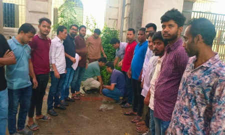পরিবেশ দিবসে জবি ছাত্রদলের বৃক্ষরোপণ