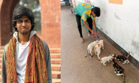 বন্ধ ঢাবি ক্যাম্পাসে ক্ষুধার্ত বিড়ালদের পাশে মুসাদ্দিক আলী ইবনে মোহাম্মদ 