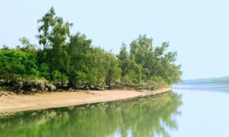 নৌকা ভ্রমণের দিনলিপিতে খোলপেটুয়া নদীর সৌন্দর্য