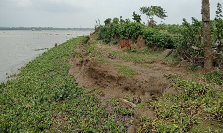 আতঙ্কে দিন গুনছে পিরোজপুরের নদী তীরবর্তী অঞ্চলের হাজারো মানুষ