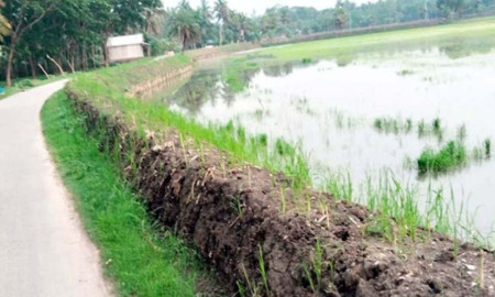 ফুটপাত দখল করে মৎস্যঘেরের বাঁধ নির্মাণ
