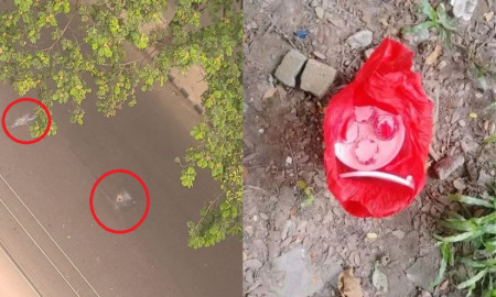 ঢাবি এলাকায় বিক্ষোভ করে ককটেল ফাটাল ছাত্রলীগ, আটক ১