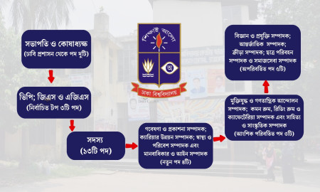 ডাকসুতে তৈরি হচ্ছে নতুন ৪ পদ, পরিমার্জন হচ্ছে তিনটিতে