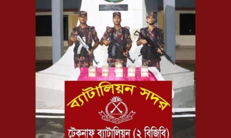 বিজিবির হাতে আটক মাদক
