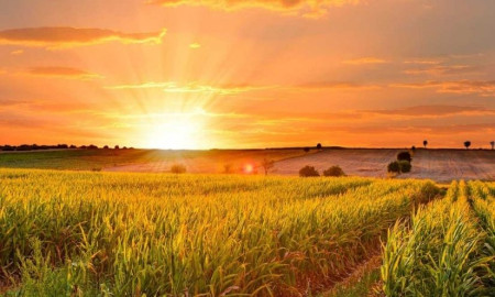 আজ বছরের দীর্ঘতম দিন, প্রাকৃতিক রহস্য আর সাংস্কৃতিক উৎসবের সম্মিলন