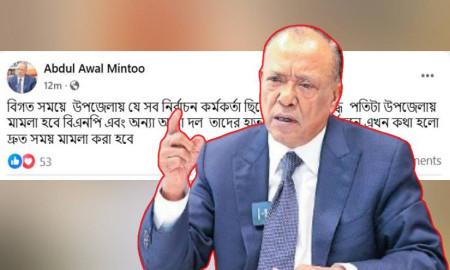 বিগত সময়ের উপজেলা নির্বাচন কর্মকর্তাদের বিরুদ্ধে মামলা হবে: আব্দুল আউয়াল মিন্টু
