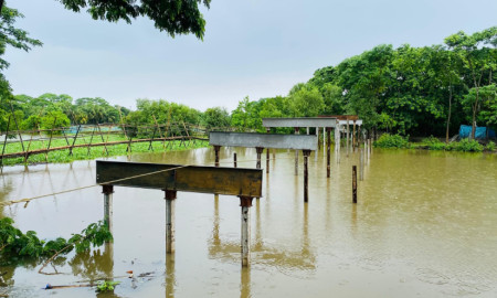 তিন বছর ধরে ঝুলছে অনির্মিত সেতু, নড়বড়ে সাঁকোই হাজারো মানুষের ভরসা