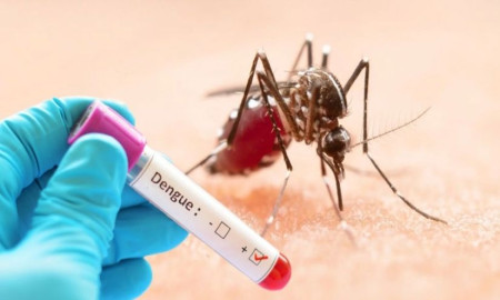 বরগুনায় ডেঙ্গুতে আরও একজনের মৃত্যু, নতুন আক্রান্ত ৭৭