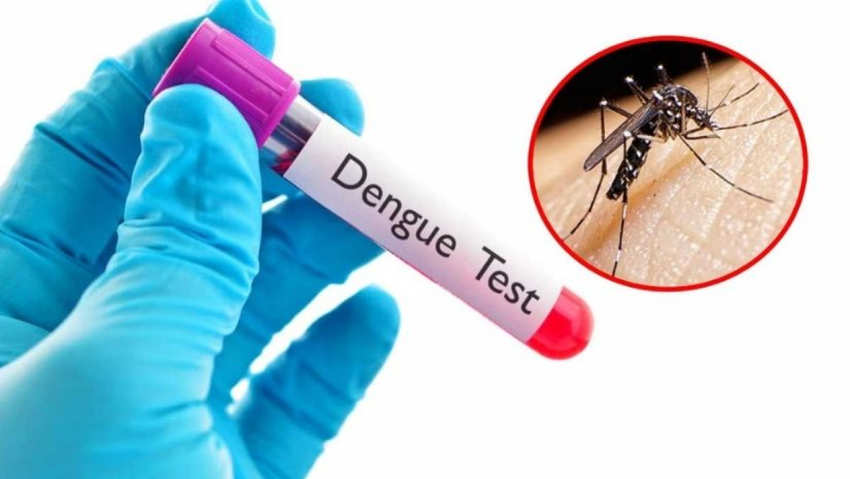 প্রতীকী ছবি 