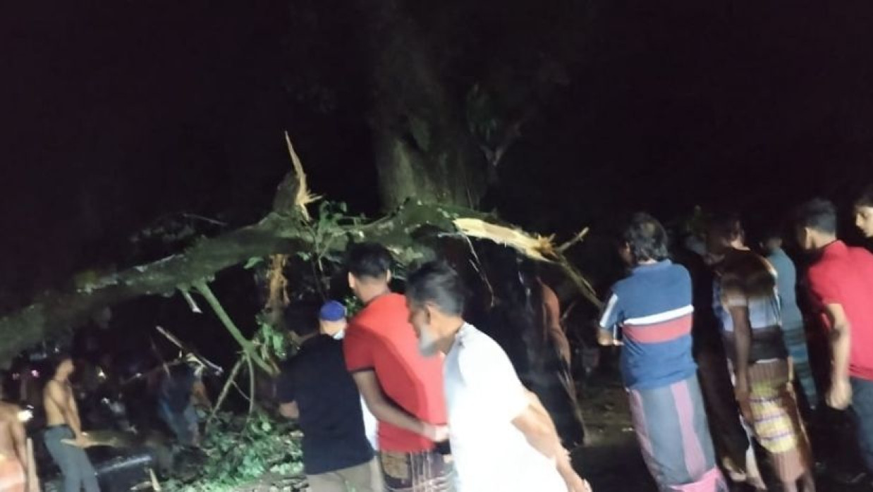 মহাসড়কে ভেঙে পড়ল বিশাল একটি ডাল