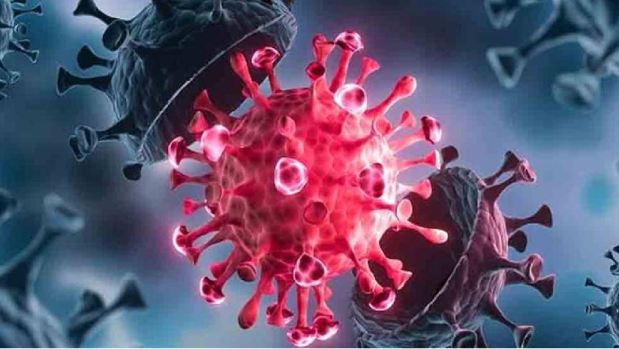 প্রতীকী ছবি