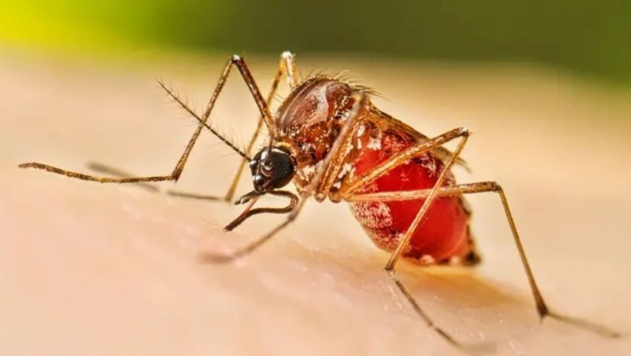 প্রতীকী ছবি