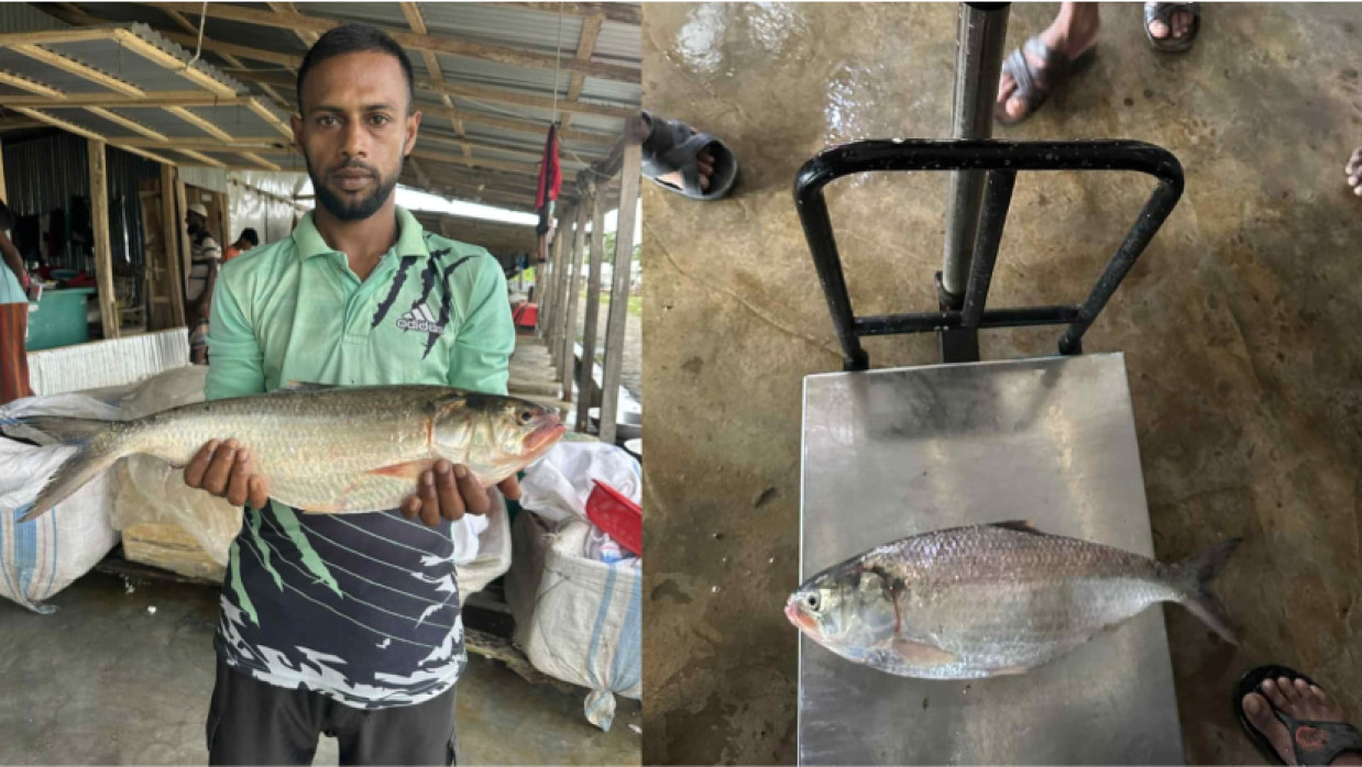 ইলিশ হাতে ব্যবসায়ী